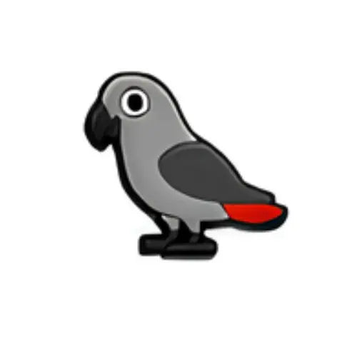 PERROQUET Pimz Addict