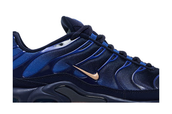 Air Max Plus French Football Federation