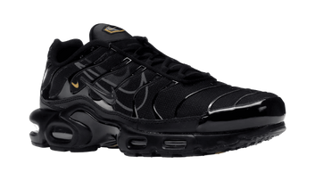 Air Max Plus Multi-Swoosh Black