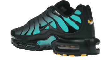 Air Max Plus Black Dusty Cactus