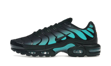 Air Max Plus Black Dusty Cactus