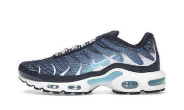 Air Max Plus Dark Obsidian