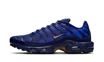 Air Max Plus French Football Federation